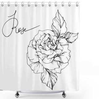 Personality  Beautiful Vector Rose Flower Isolated On White Background. Black And White Engraved Ink Art. Shower Curtains