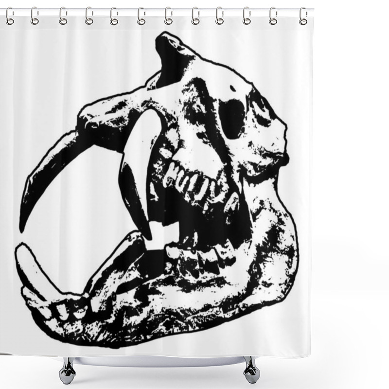 Personality  Side View Shot Astrapotherium Animal Skull Head Isolated Black And White Graphic Shower Curtains
