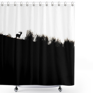 Personality  Silhouette Of A Stag Bawling In Backlight In The Monfrague National Park Shower Curtains