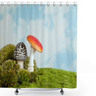 Personality  Toadstools For A Fairytale Shower Curtains