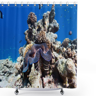 Personality  Coral Reef Underwater Shower Curtains