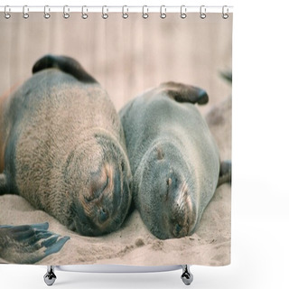 Personality  South African Fur Seals (Arctocephalus Pusillus), Cape Cross, Namibia, Africa Shower Curtains