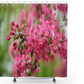 Personality  Close-up View Of Beautiful Pink Almond Flowers, Selective Focus   Shower Curtains