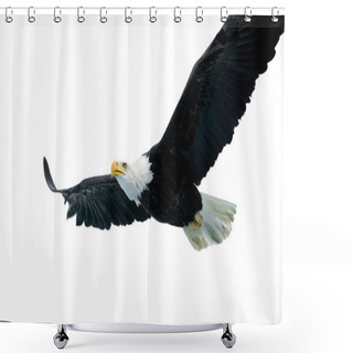 Personality  Bald Eagle (22 Years) Shower Curtains