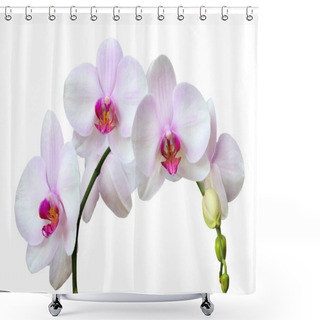 Personality  Orchids Shower Curtains