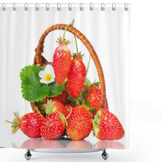 Personality  Ripe Sweet Strawberries Shower Curtains