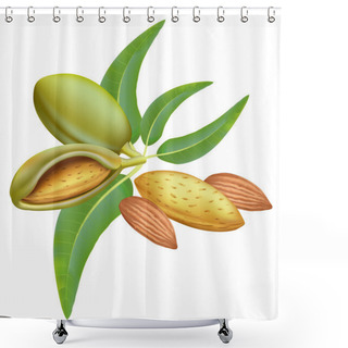 Personality  Almonds. Branch With Leaves And Fruits. Shower Curtains