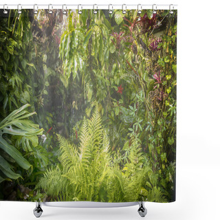 Personality  Rain In Forest Jungle Shower Curtains