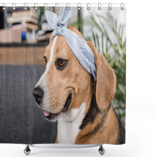 Personality  Beagle Dog In Bandana Shower Curtains