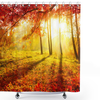 Personality  Autumnal Park. Autumn Trees And Leaves. Fall Shower Curtains