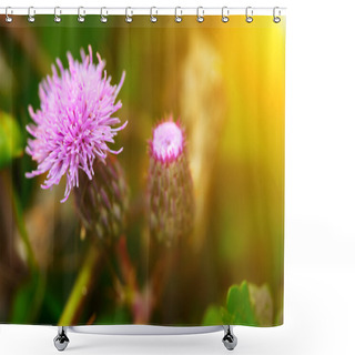 Personality  Pink Milk Thistle Flower Shower Curtains