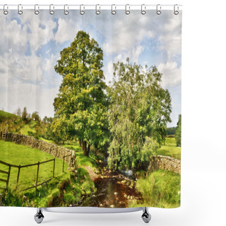 Personality  Peacefully Flowing Stream With Overhanging Trees Shower Curtains