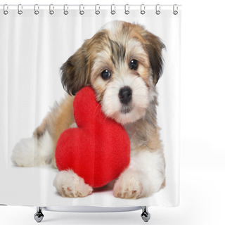 Personality  Lover Valentine Havanese Puppy Shower Curtains