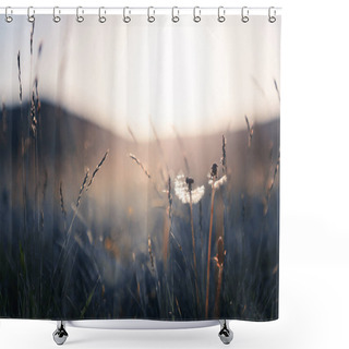 Personality  Wild Grasses With Dandelions In The Mountains At Sunset. Macro Image, Shallow Depth Of Field. Summer Nature Background. Shower Curtains