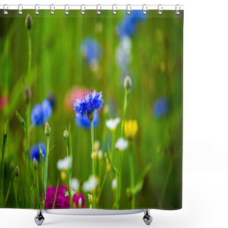Personality  Cornflower In The Meadow, Floral , Flower Shower Curtains