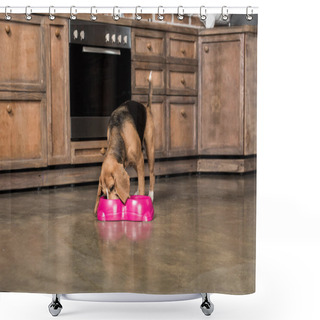 Personality  Hungry Beagle Dog Shower Curtains