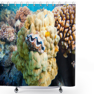 Personality  Coral Reef Shower Curtains