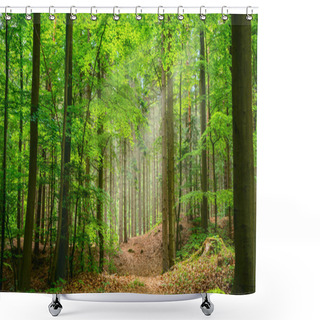 Personality  Silent Forest In Spring With Beautiful Bright Sun Rays - Wanderlust Shower Curtains