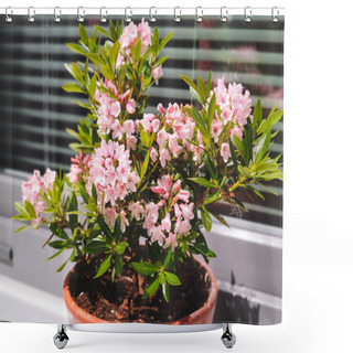 Personality  Closeup Photo Of Pink Flowers On A Windowsill In A Garden Shower Curtains