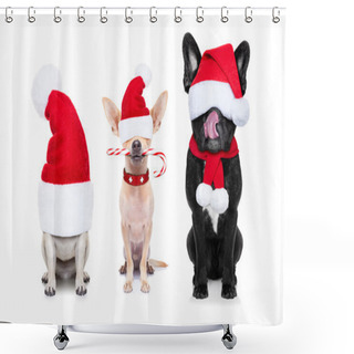 Personality  Row Of Santa Claus Dogs Shower Curtains
