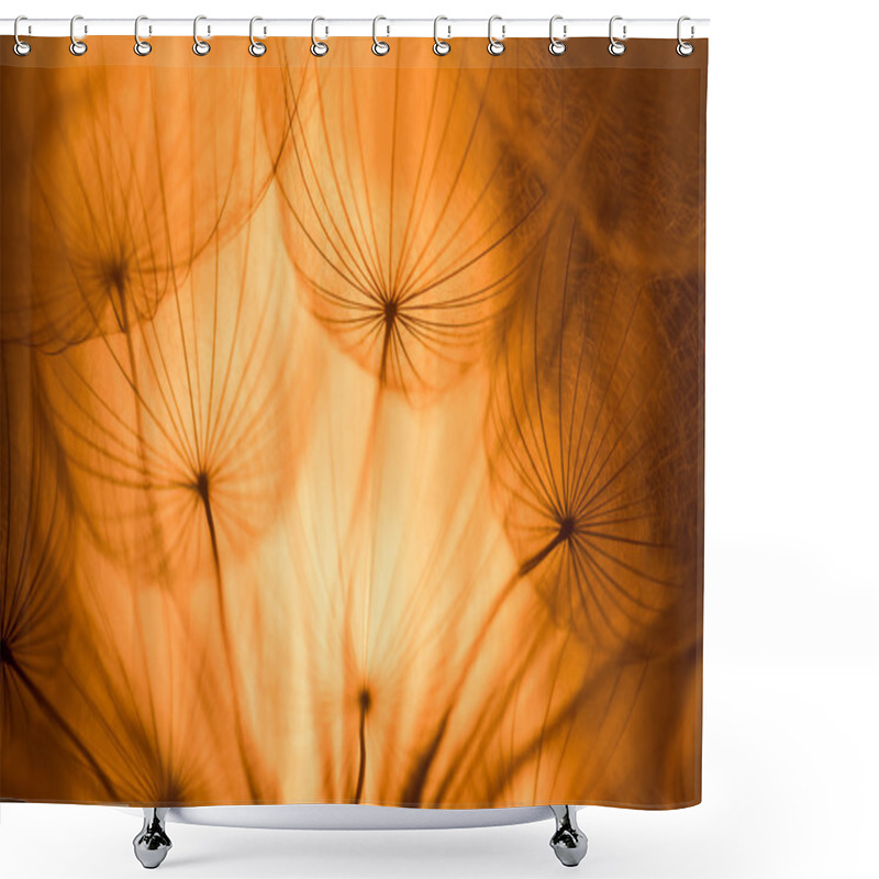 Personality  Vintage Copper Abstract Dandelion Flower Background Shower Curtains