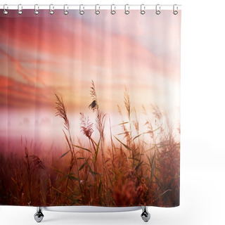 Personality  Foggy Landscape. Early Morning Mist Shower Curtains