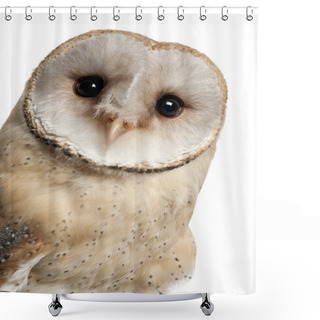 Personality  Barn Owl, Tyto Alba, 4 Months Old, Portrait And Close Up Against White Background Shower Curtains