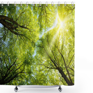 Personality  Sun Shining Through Treetops Shower Curtains