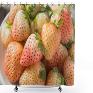 Personality  Organic Raw Pink Pineberries Strawberry In A Bowl Shower Curtains