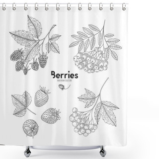 Personality  Set Of Hand Drawn Berries Isolated On White Background. Botanical Illustration Of Engraved Berry. Viburnum, Raspberry, Rowan, Strawberry. Design For Package Of Health And Beauty Natural Products. Shower Curtains