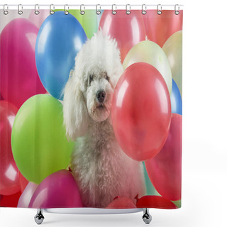 Personality  Dog With Balloons Shower Curtains