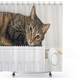 Personality  Cat Relaxing On A Warm Radiator Shower Curtains