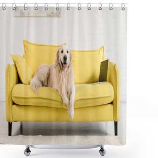 Personality   Cute Golden Retriever Lying On Yellow Sofa With Laptop In Apartment   Shower Curtains