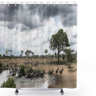 Personality  Herd Of Zebras Resting By A River, Serengeti, Tanzania, Africa Shower Curtains