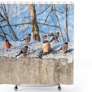 Personality  Several Bullfinches Pecking Seeds On The Trough Shower Curtains