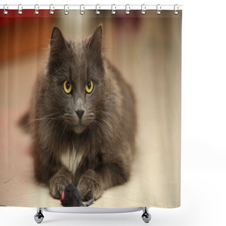 Personality  Gray Fluffy Cat Shower Curtains