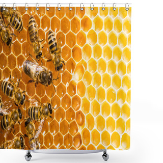 Personality  Close Up View Of The Working Bees On Honeycells. Shower Curtains