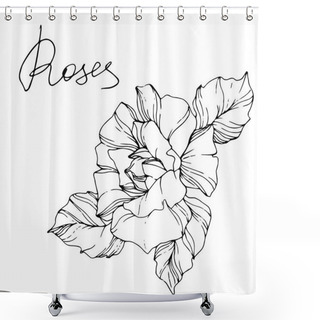 Personality  Vector. Rose Flower Isolated Illustration Element On White Background. Black And White Engraved Ink Art Shower Curtains