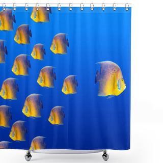 Personality  Goind Different Way Shower Curtains