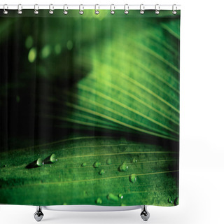 Personality  Close-up View Of Green Natural Background With Dew Drops Shower Curtains
