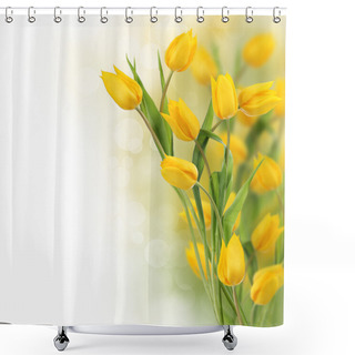 Personality  Tulip Flowers Design Border Shower Curtains