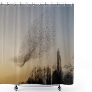 Personality  Murmurations Of Starlings During Sunset, Beautiful Nature Background Shower Curtains