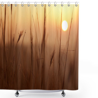 Personality  Early Morning Shower Curtains