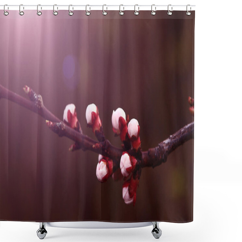 Personality  Vintage Cherry Tree Shower Curtains