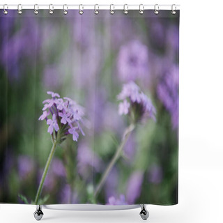 Personality  Close-up Shot Of Beautiful Purple Field Flowers Shower Curtains