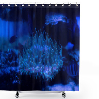 Personality  Coral Under Water In Aquarium With Blue Lighting Shower Curtains
