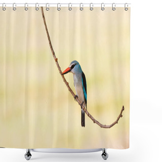 Personality  Woodland Kingfisher Bird Perched On A Branch Shower Curtains