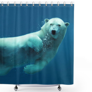 Personality  Polar Bear Underwater Close-up Shower Curtains