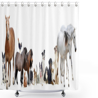 Personality  Group Of Animals Shower Curtains