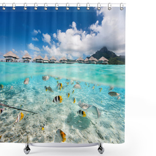 Personality  Tropical Island Under And Above Water Shower Curtains